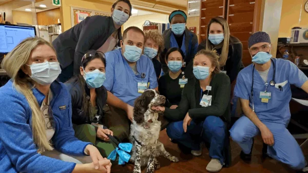 Vegas pet therapy dog